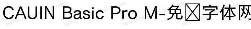 CAUIN Basic Pro M字体转换